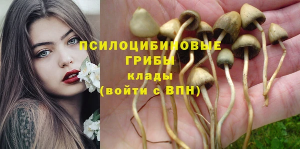 хмурый Алзамай