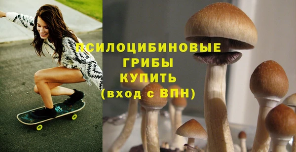 хмурый Алзамай