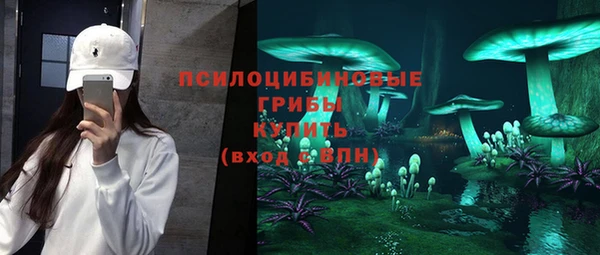 хмурый Алзамай