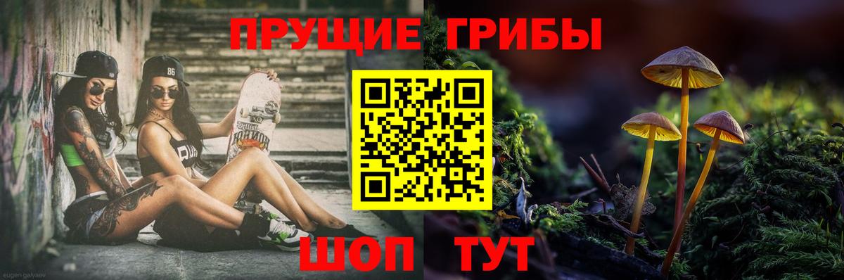 Псилоцибиновые грибы мицелий Чебаркуль