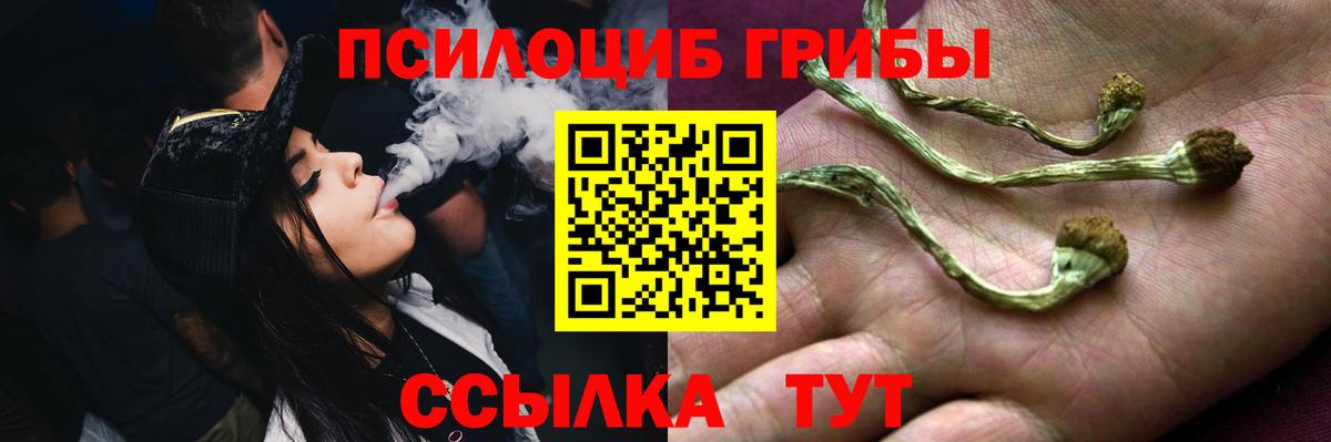 Псилоцибиновые грибы Magic Shrooms  Галлюциногенные грибы Psilocybe  что такое наркотик  Чебаркуль  Вход с VPN 